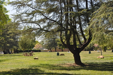 Enlarge photo 5