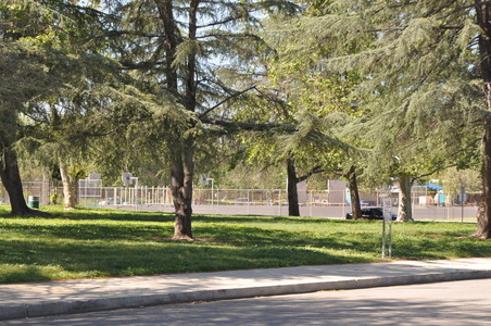 Enlarge photo 6