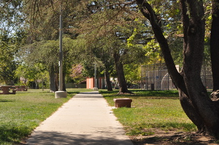 Enlarge photo 8