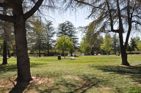 Enlarge photo 12