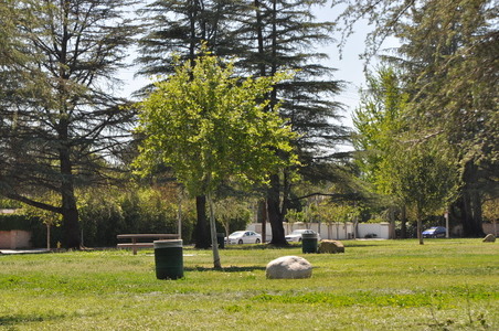 Enlarge photo 15