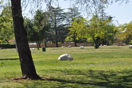 Enlarge photo 19