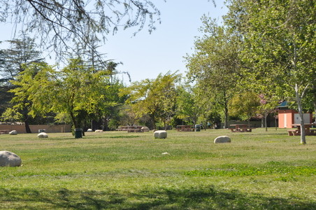 Enlarge photo 20