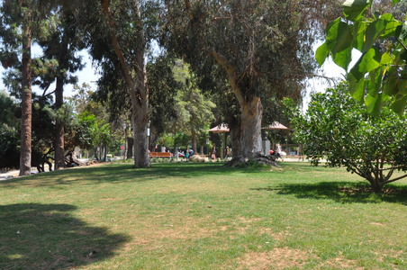 Enlarge photo 9