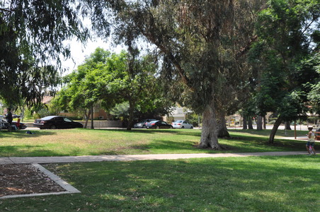 Enlarge photo 11