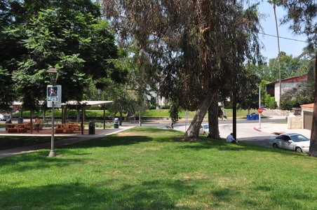 Enlarge photo 12