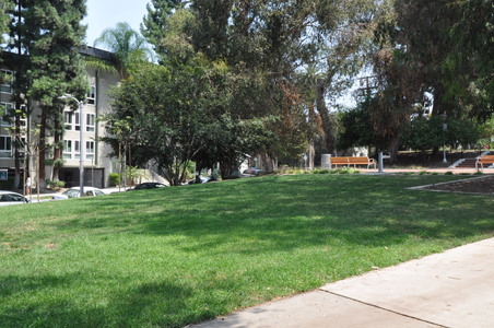 Enlarge photo 14