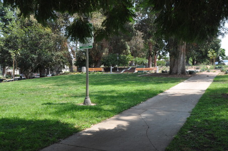 Enlarge photo 16