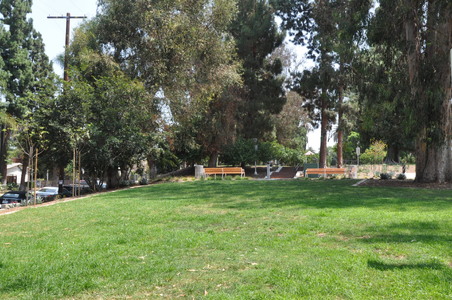 Enlarge photo 17