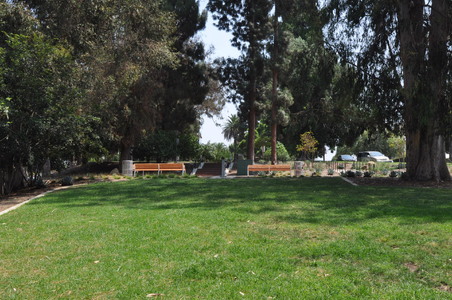 Enlarge photo 19
