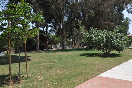 Enlarge photo 22