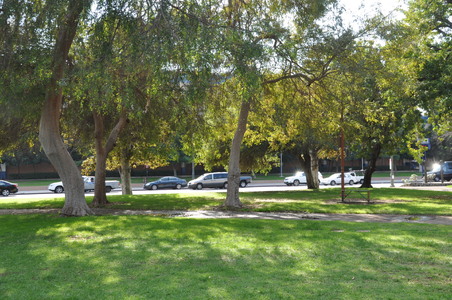 Enlarge photo 4