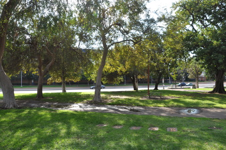 Enlarge photo 7