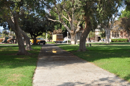 Enlarge photo 9