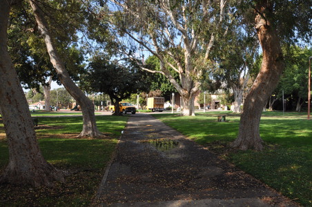 Enlarge photo 10