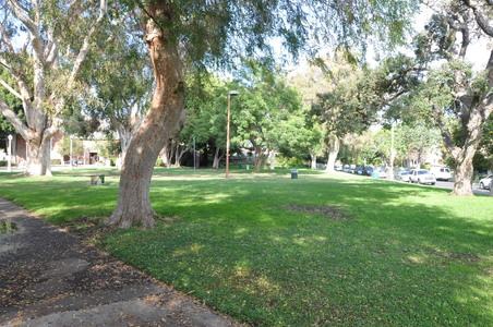 Enlarge photo 11