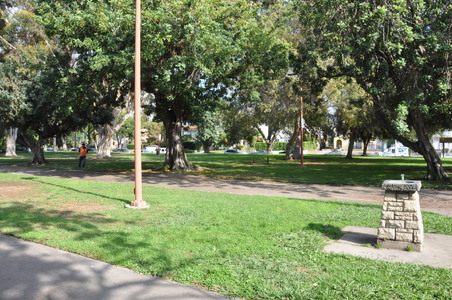 Enlarge photo 16