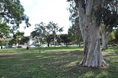 Enlarge photo 21