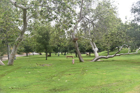 Enlarge photo 3