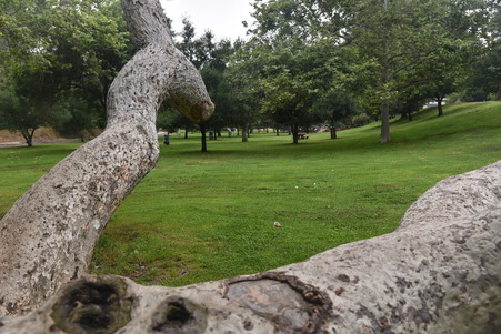 Enlarge photo 5