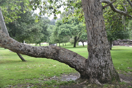 Enlarge photo 10