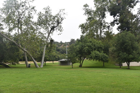 Enlarge photo 13