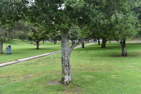 Enlarge photo 15