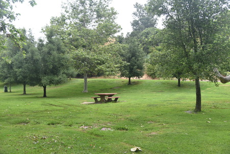 Enlarge photo 17