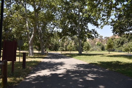 Enlarge photo 189