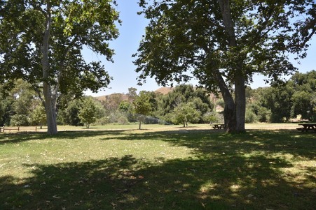 Enlarge photo 190