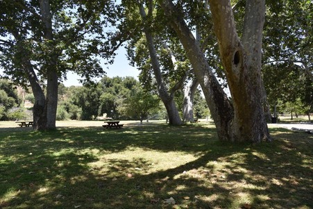 Enlarge photo 191