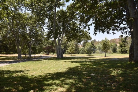 Enlarge photo 193