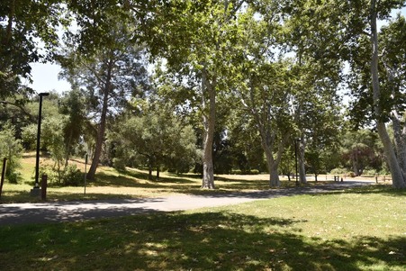 Enlarge photo 192