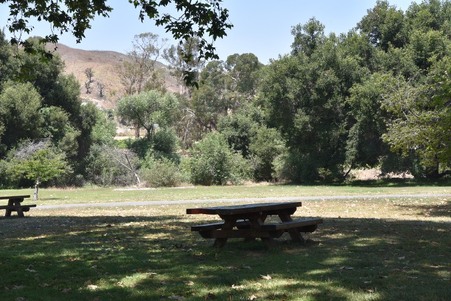 Enlarge photo 195