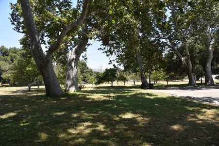 Enlarge photo 194