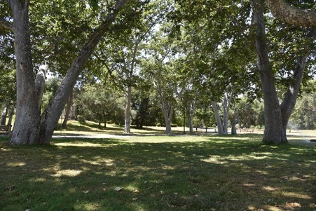 Enlarge photo 196