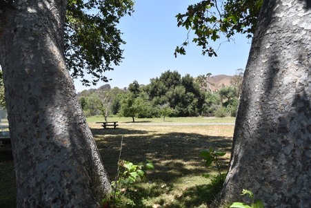 Enlarge photo 197