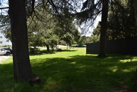 Enlarge photo 200