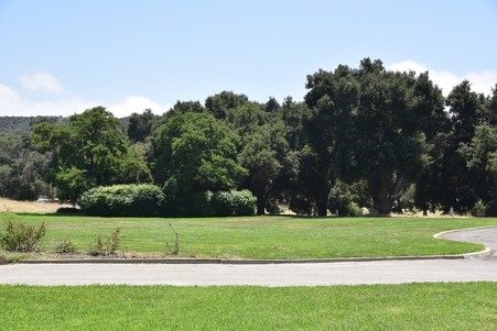 Enlarge photo 204