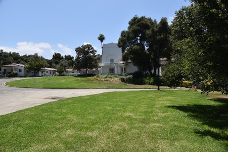 Enlarge photo 203
