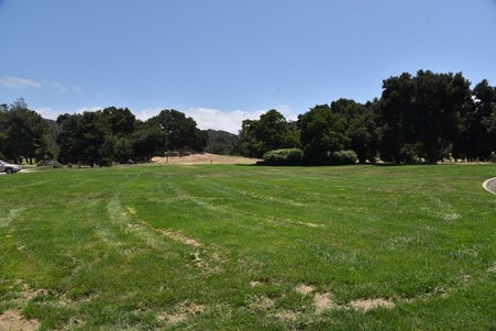 Enlarge photo 206