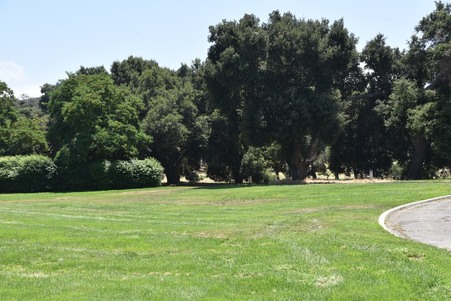 Enlarge photo 205