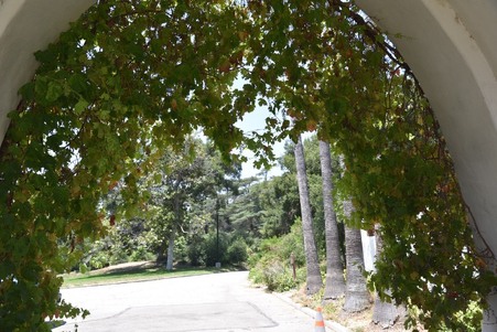 Enlarge photo 208