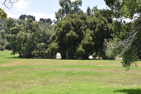 Enlarge photo 213