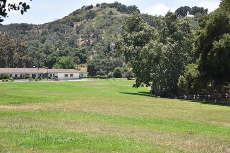Enlarge photo 215
