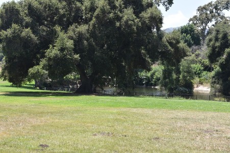 Enlarge photo 216
