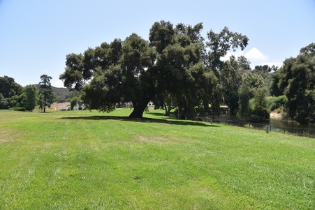 Enlarge photo 217