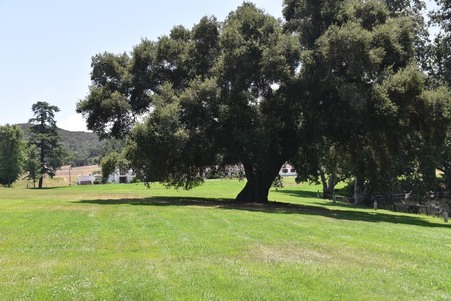 Enlarge photo 219