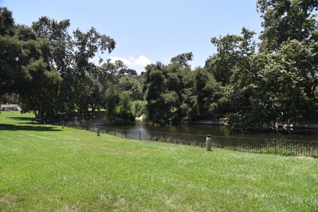 Enlarge photo 218