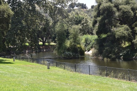 Enlarge photo 221